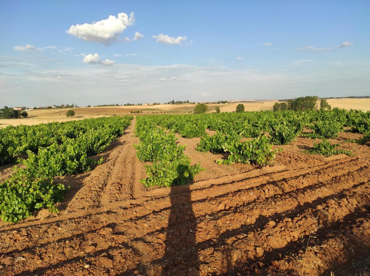 Vinarius, Posada Rural Castellanos de Villiquera Buitenkant foto