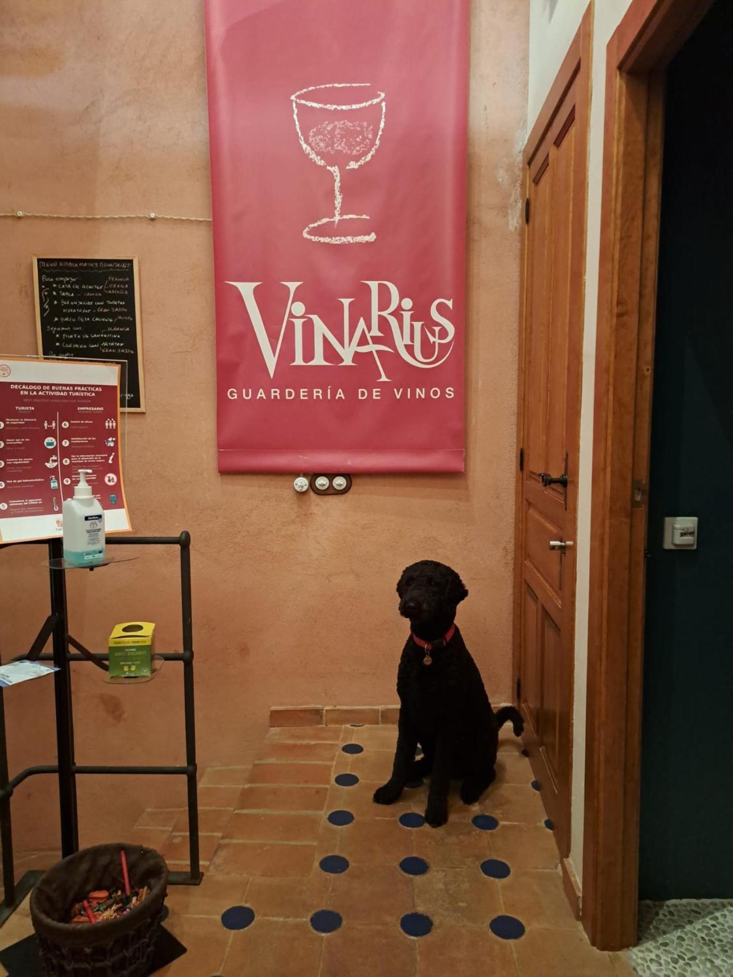Vinarius, Posada Rural Castellanos de Villiquera Buitenkant foto